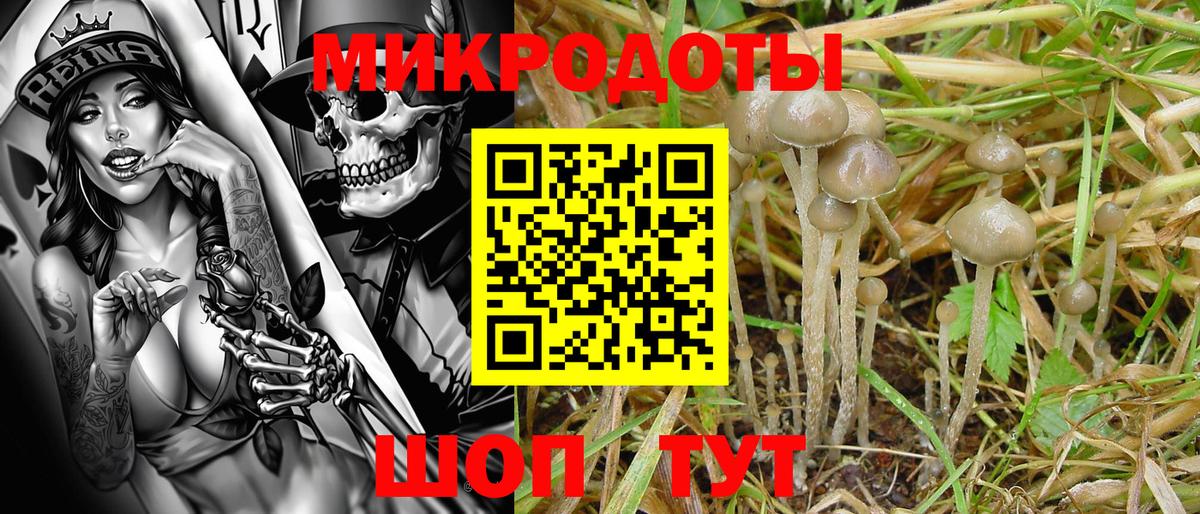 Галлюциногенные грибы мухоморы Березники
